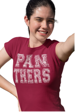 Load image into Gallery viewer, PANTHERS