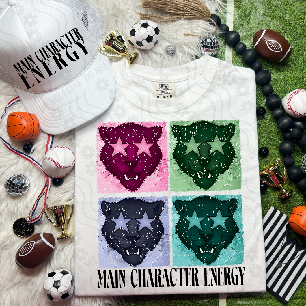 ENERGY PANTHERS